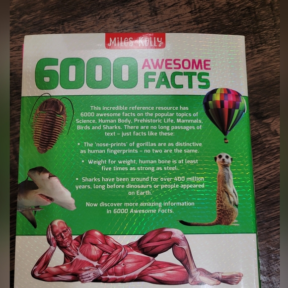 Miles Kelly 6000 Awesome Facts Reference Resource Book - Picture 3 of 5